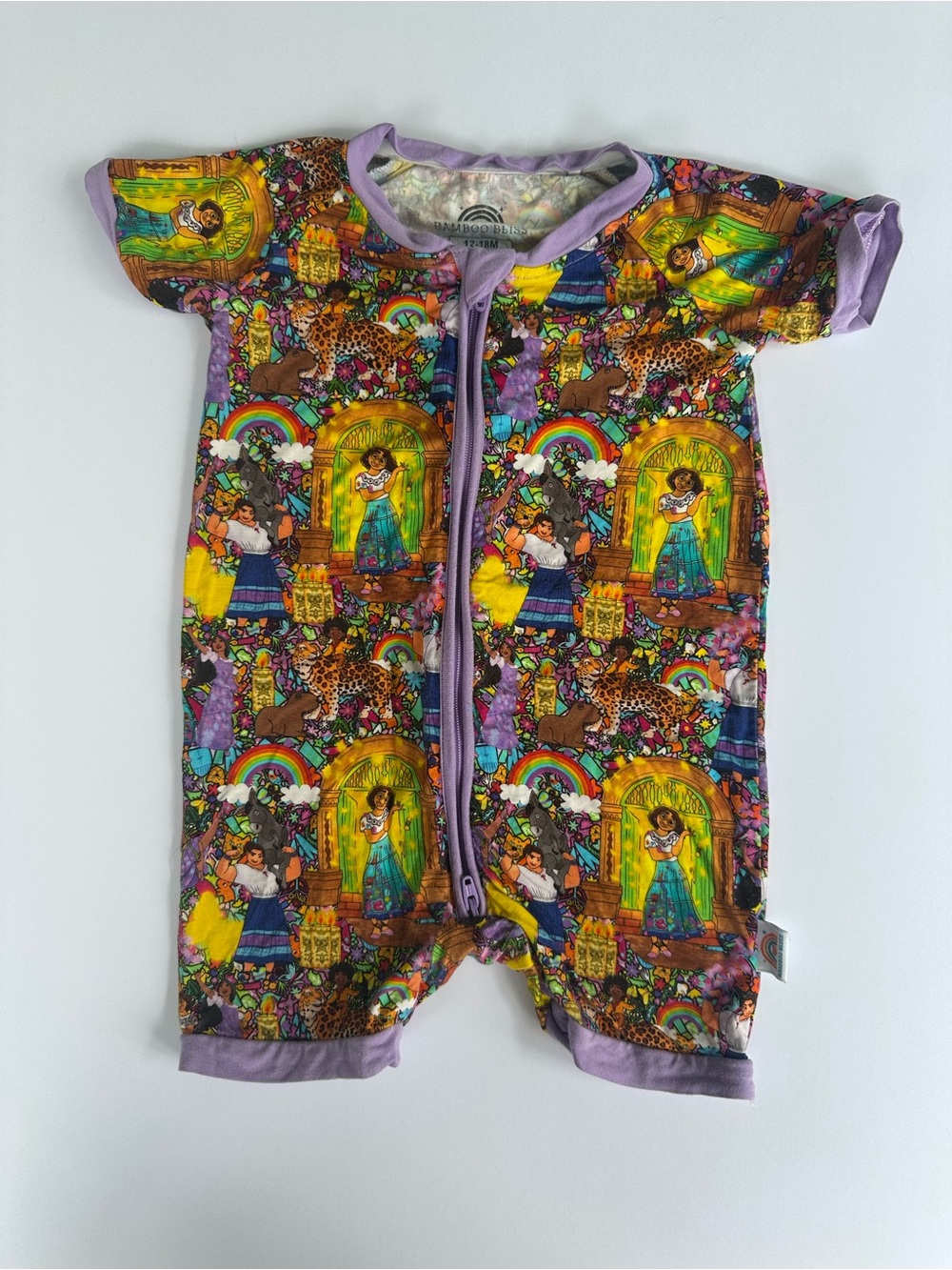 Bamboo Bliss | Disney Encanto Shortie Onesie | 12-18 months